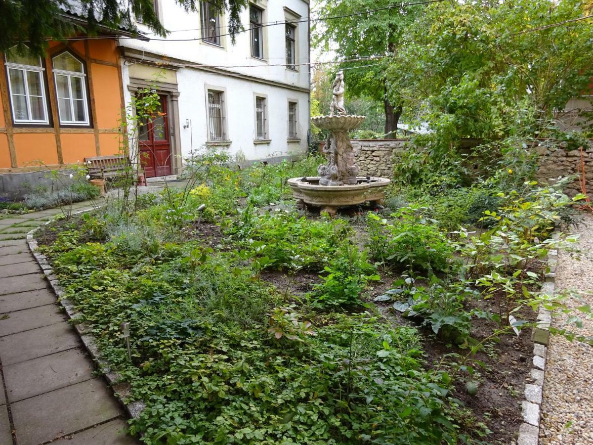 Hummel Hostel - Historische Stadtvilla Mit Garten Weimar  Eksteriør bilde
